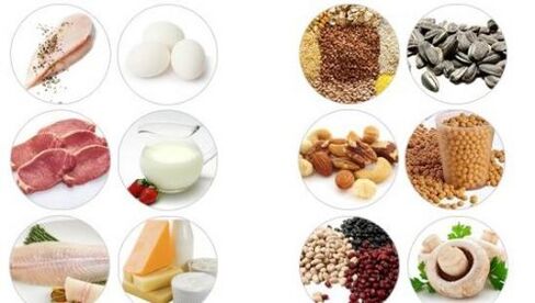 Ushqime të larta në proteina shtazore dhe vegjetale për fuqinë mashkullore